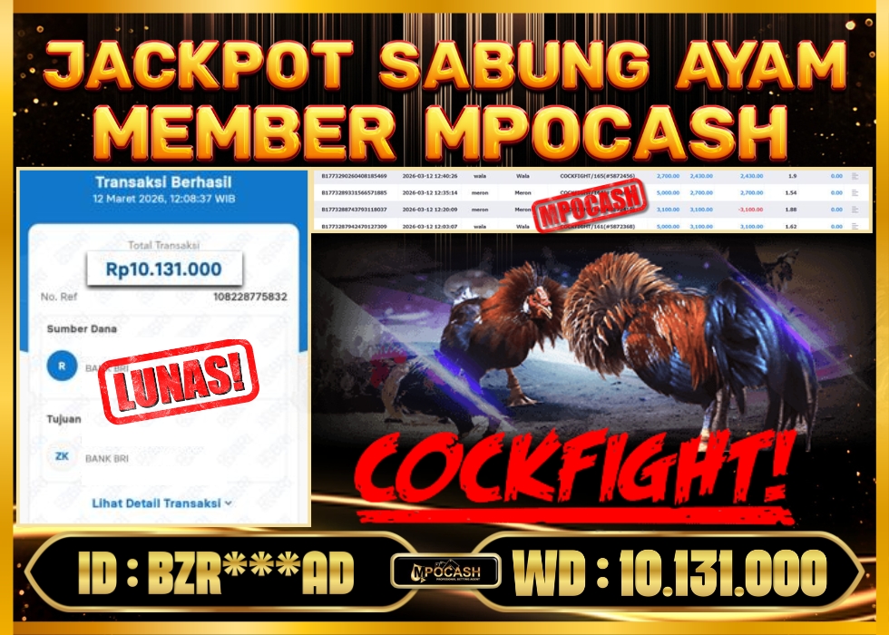 MPOCASH JACKPOT SABUNG AYAM
